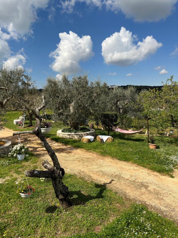 Pensjonat Trulli Barsento Alberobello Zewnętrze zdjęcie