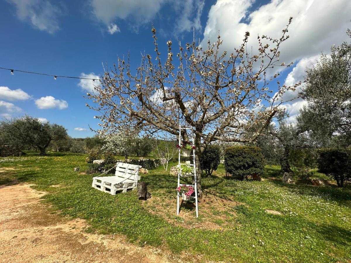 Pensjonat Trulli Barsento Alberobello Zewnętrze zdjęcie